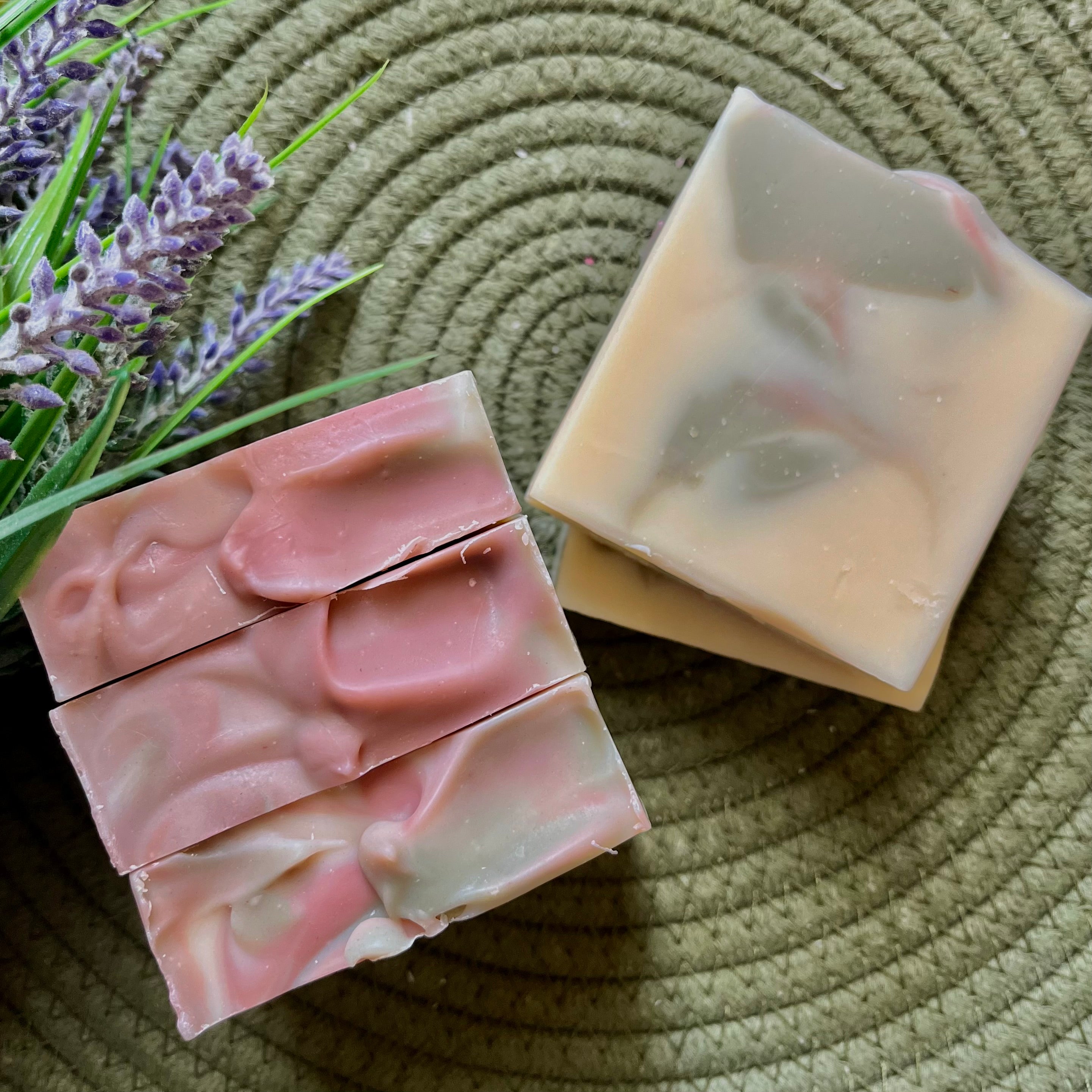 Timeless Beauty Bar